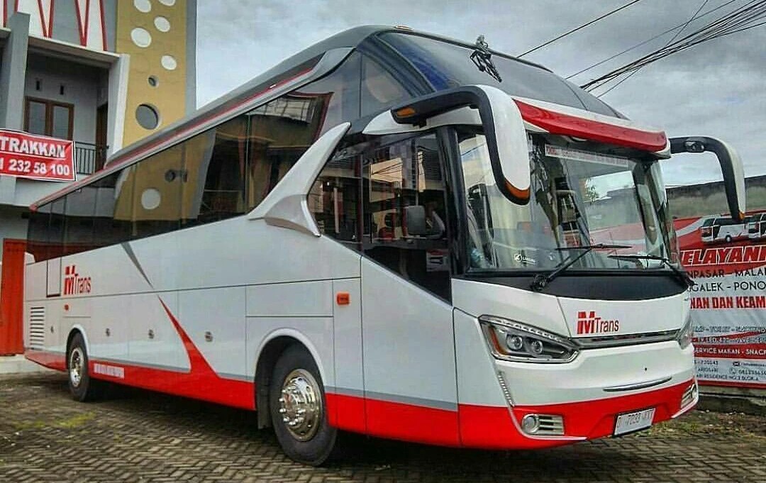 Bus Mtrans - Executive Class